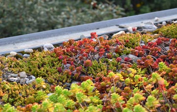 the cost of West Tanfield green roof installation
