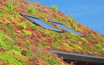 West Tanfield living roof systems